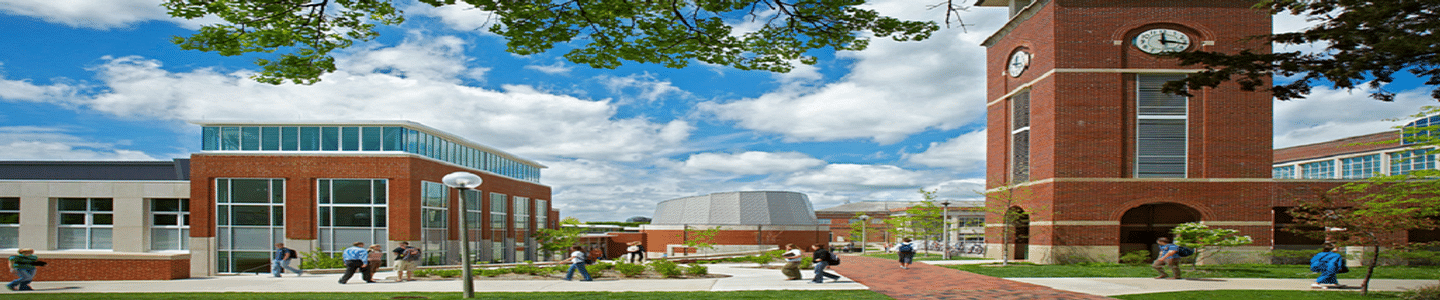 Truman State University banner
